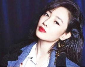 何嘉文最新爆料新闻视频,揭秘事件背后惊人真相